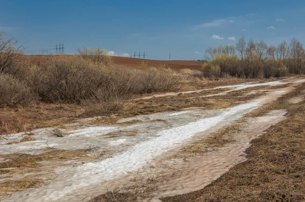 Bahar manzara. bahar alanında son kar. engebeli arazi. ağaçların yaprakları olmadan. ilk sıcak günleridir
