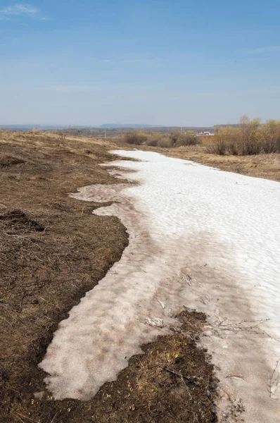 Paisaje Primavera Última Nieve Campo Primavera Terreno Montañoso Árboles Sin — Foto de Stock