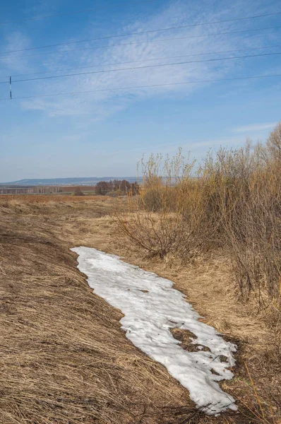 Bahar manzara. Taze sürülmüş alan. engebeli arazi. ağaçların yaprakları olmadan. Çok renkli bahar ağaçları. Geçen yılki kış kar kalan. Son kar.