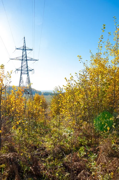 Sonbahar sahneleri. Energo. Yeşil enerji, enerji santrali, yakın yüksek voltajlı güç hatları kavramı. Güç Dağıtım İstasyonu. yüksek voltajlı elektrik iletim bir pilon siluet kulenin.