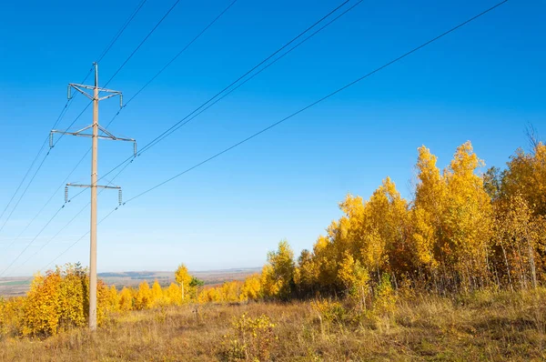 Sonbahar sahneleri. Energo. Yeşil enerji, enerji santrali, yakın yüksek voltajlı güç hatları kavramı. Güç Dağıtım İstasyonu. yüksek voltajlı elektrik iletim bir pilon siluet kulenin.