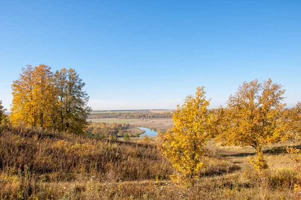 Sonbahar manzara, ağaç meşe akçaağaç sonbahar renkleri, eski çim boyanmıştı. Güzel renkli sonbahar yaprakları yeşil, sarı, turuncu, kırmızı topluluğu