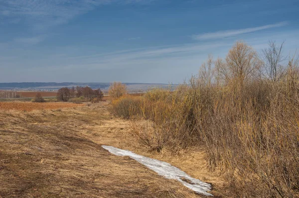 Lente Landschap Vers Geploegd Veld Heuvelachtig Terrein Bomen Zonder Bladeren — Stockfoto