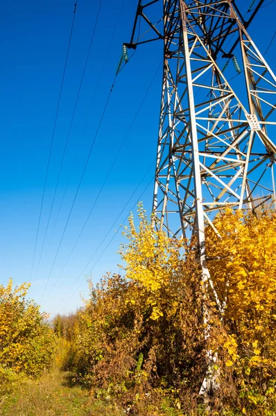 Sonbahar sahneleri. Energo. Yeşil enerji, enerji santrali, yakın yüksek voltajlı güç hatları kavramı. Güç Dağıtım İstasyonu. yüksek voltajlı elektrik iletim bir pilon siluet kulenin.