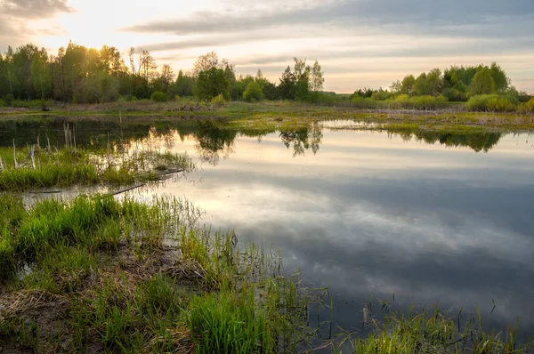 Bahar catering. Bir güzel bahar yatay bir bataklık, gündoğumu. Yeşil orman ve bulutlu gökyüzü bulutlu. Açık havada doğal çevre kavramı.