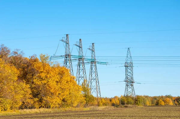 Sonbahar sahneleri. Energo. Yeşil enerji, enerji santrali, yakın yüksek voltajlı güç hatları kavramı. Güç Dağıtım İstasyonu. yüksek voltajlı elektrik iletim bir pilon siluet kulenin.