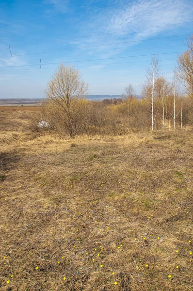 Bahar manzara. Taze sürülmüş alan. engebeli arazi. ağaçların yaprakları olmadan. Çok renkli bahar ağaçları. Geçen yılki kış kar kalan. Son kar.