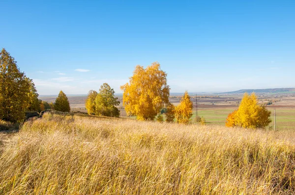Sonbahar manzara, ağaç meşe akçaağaç sonbahar renkleri, eski çim boyanmıştı. Güzel renkli sonbahar yaprakları yeşil, sarı, turuncu, kırmızı topluluğu