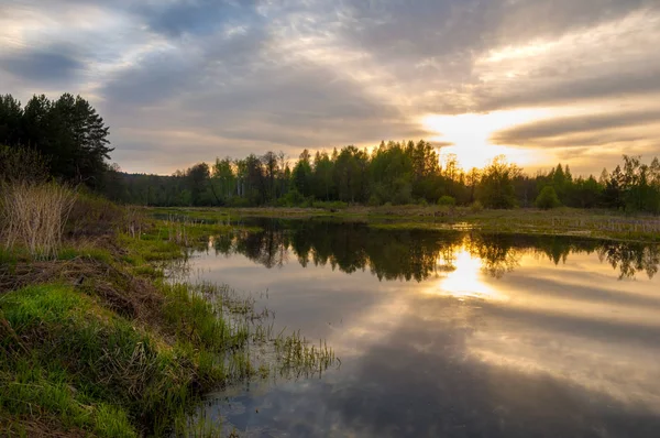 Bahar catering. Bir güzel bahar yatay bir bataklık, gündoğumu. Yeşil orman ve bulutlu gökyüzü bulutlu. Açık havada doğal çevre kavramı.