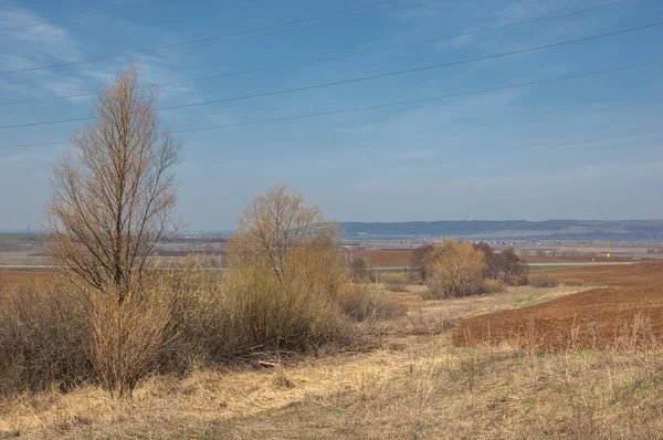 Bahar manzara. Taze sürülmüş alan. engebeli arazi. ağaçların yaprakları olmadan. Çok renkli bahar ağaçları. Geçen yılki kış kar kalan. Son kar.
