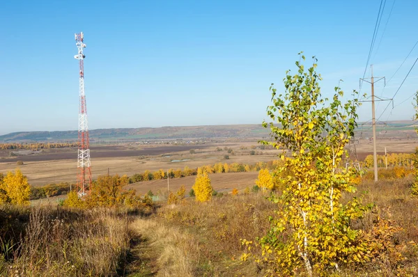 Autumn Landscape, Telephone Relay Tower. engaged in a task or activity for a fixed period of time and then replaced by a similar group. Telecommunication tower with antenna of advance Autumn