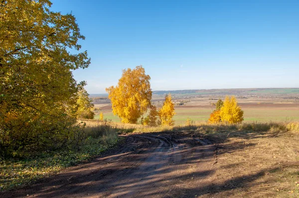 Höstscener Pittoresk Grusväg Höstens Blandskog Den Kuperade Terrängen Var Övervuxen — Stockfoto