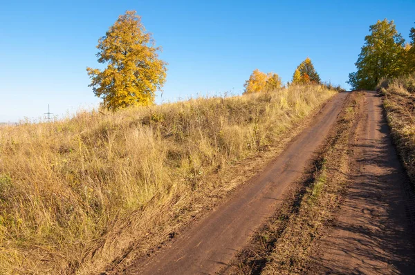 Sonbahar sahneleri. Sonbahar karışık ormanlarında pitoresk toprak yol. Tepe arazisi solmuş çimlerle kaplıydı. Yol tarladan hasat toplayan makinelerle sarılmış.