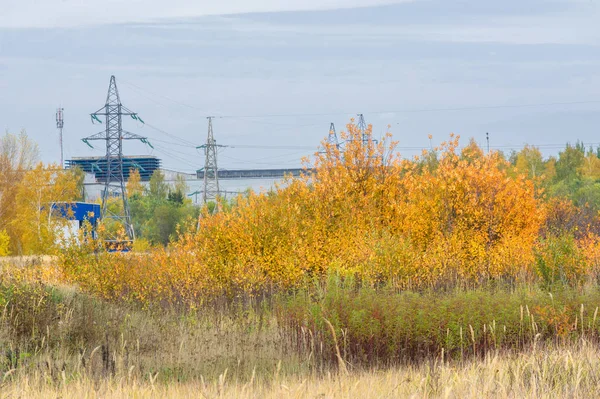 doğal manzara. Sonbahar manzara. Şehir, parlak kırmızı sarı ağaçlar, çalılar, eski sarı siyah çim banliyölerinde