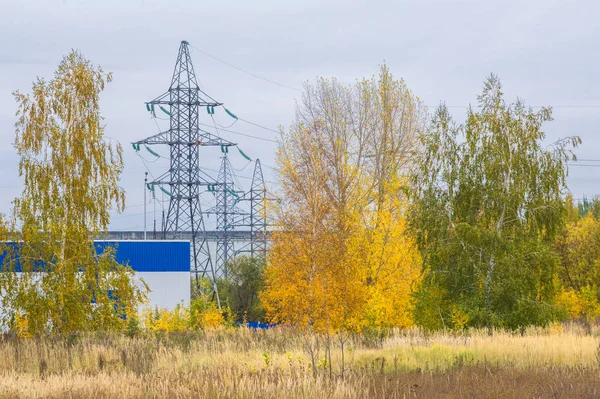 doğal manzara. Sonbahar manzara. Şehir, parlak kırmızı sarı ağaçlar, çalılar, eski sarı siyah çim banliyölerinde