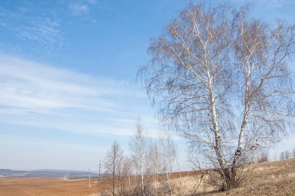 Bahar manzara. Taze sürülmüş alan. engebeli arazi. ağaçların yaprakları olmadan. Çok renkli bahar ağaçları. Geçen yılki kış kar kalan. Son kar.