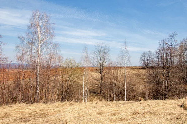 Frühlingslandschaft Frisch Gepflügtes Feld Hügeliges Gelände Bäume Ohne Blätter Bunte — Stockfoto