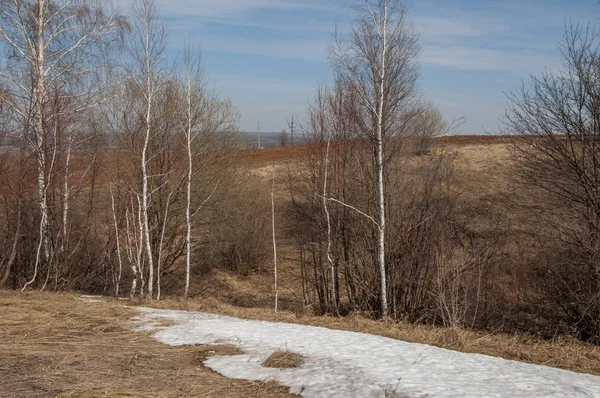 春天的风景 春天田野上的最后一雪 丘陵地形 没有树叶的树 温暖的日子是第一个 — 图库照片
