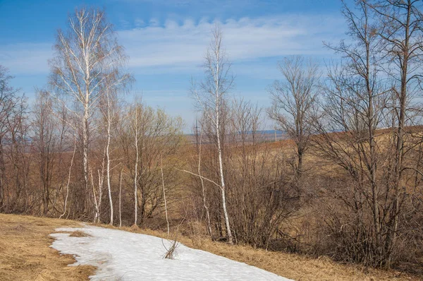 Bahar manzara. bahar alanında son kar. engebeli arazi. ağaçların yaprakları olmadan. ilk sıcak günleridir