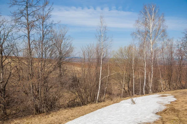 Bahar manzara. bahar alanında son kar. engebeli arazi. ağaçların yaprakları olmadan. ilk sıcak günleridir