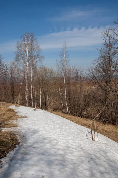 Lente Landschap Laatste Sneeuw Het Gebied Van Lente Heuvelachtig Terrein — Stockfoto