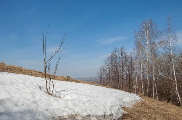 Bahar manzara. bahar alanında son kar. engebeli arazi. ağaçların yaprakları olmadan. ilk sıcak günleridir