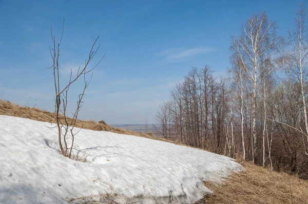 Bahar manzara. bahar alanında son kar. engebeli arazi. ağaçların yaprakları olmadan. ilk sıcak günleridir
