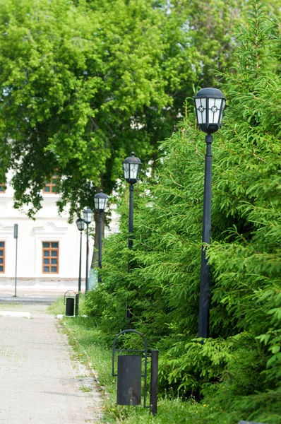 Textura Pozadí Vzor Krajina Urbanistická Chodník Lampióny Vánoční Stromky — Stock fotografie