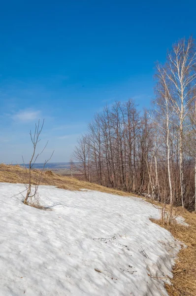 Lente Landschap Laatste Sneeuw Het Gebied Van Lente Heuvelachtig Terrein — Stockfoto