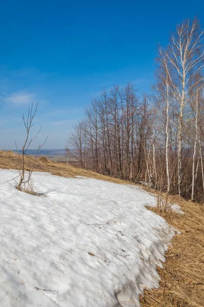 Paesaggio Primaverile Ultima Neve Sul Campo Primaverile Terreno Collinare Alberi — Foto Stock