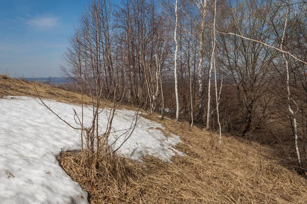 Bahar manzara. bahar alanında son kar. engebeli arazi. ağaçların yaprakları olmadan. ilk sıcak günleridir
