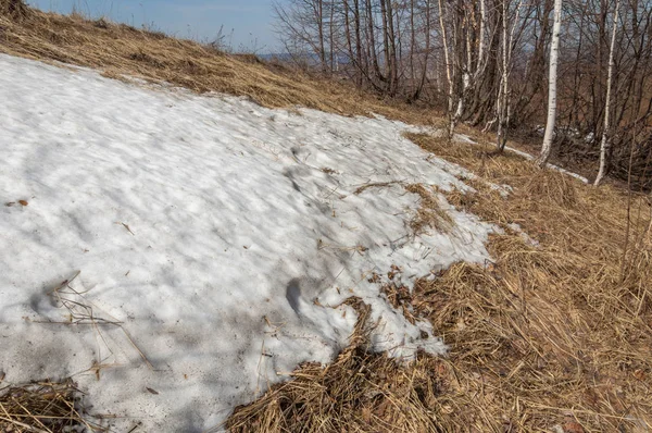 Bahar manzara. bahar alanında son kar. engebeli arazi. ağaçların yaprakları olmadan. ilk sıcak günleridir