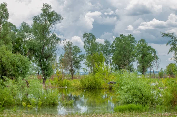 sel suları bastığında. bir sel sonucu olarak taşan su. Yüksek kaynak suyu. Baharın başlangıcı nehrinde güneşli bir günde. Bulutlar cennet. Bahar manzara. Bahar geliyor.