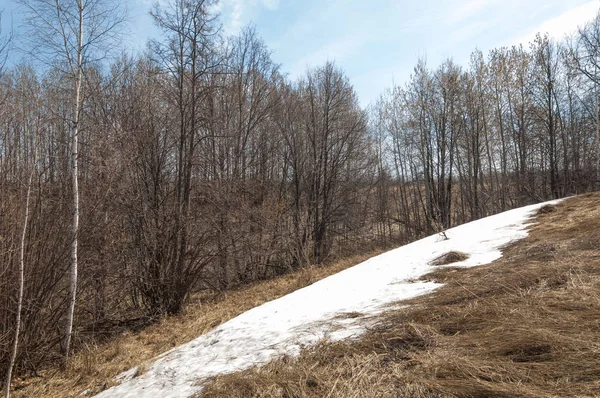 Bahar manzara. bahar alanında son kar. engebeli arazi. ağaçların yaprakları olmadan. ilk sıcak günleridir