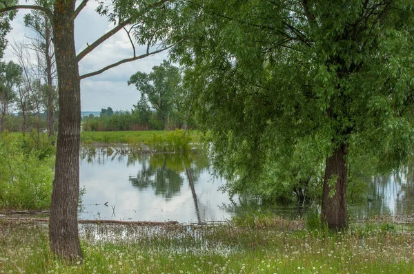 sel suları bastığında. bir sel sonucu olarak taşan su. Yüksek kaynak suyu. Baharın başlangıcı nehrinde güneşli bir günde. Bulutlar cennet. Bahar manzara. Bahar geliyor.