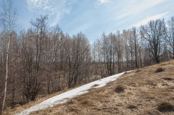 Paisaje Primavera Última Nieve Campo Primavera Terreno Montañoso Árboles Sin —  Fotos de Stock