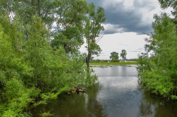 sel suları bastığında. bir sel sonucu olarak taşan su. Yüksek kaynak suyu. Baharın başlangıcı nehrinde güneşli bir günde. Bulutlar cennet. Bahar manzara. Bahar geliyor.