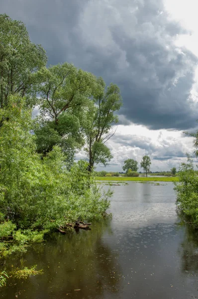 sel suları bastığında. bir sel sonucu olarak taşan su. Yüksek kaynak suyu. Baharın başlangıcı nehrinde güneşli bir günde. Bulutlar cennet. Bahar manzara. Bahar geliyor.
