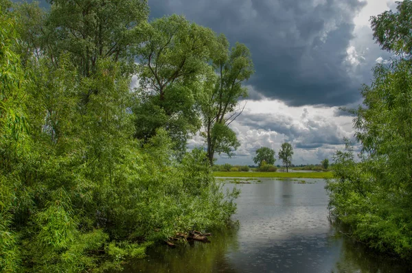 sel suları bastığında. bir sel sonucu olarak taşan su. Yüksek kaynak suyu. Baharın başlangıcı nehrinde güneşli bir günde. Bulutlar cennet. Bahar manzara. Bahar geliyor.