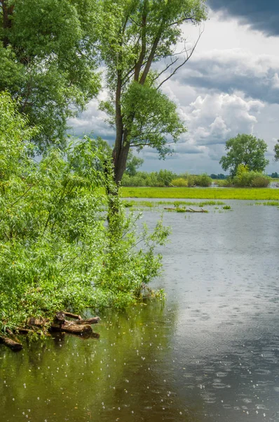 sel suları bastığında. bir sel sonucu olarak taşan su. Yüksek kaynak suyu. Baharın başlangıcı nehrinde güneşli bir günde. Bulutlar cennet. Bahar manzara. Bahar geliyor.