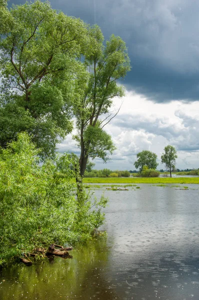 sel suları bastığında. bir sel sonucu olarak taşan su. Yüksek kaynak suyu. Baharın başlangıcı nehrinde güneşli bir günde. Bulutlar cennet. Bahar manzara. Bahar geliyor.