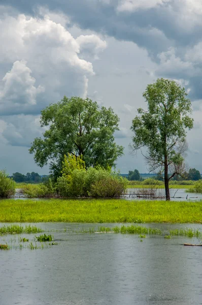 sel suları bastığında. bir sel sonucu olarak taşan su. Yüksek kaynak suyu. Baharın başlangıcı nehrinde güneşli bir günde. Bulutlar cennet. Bahar manzara. Bahar geliyor.