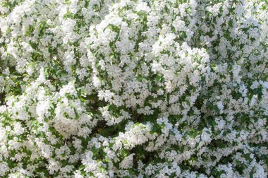 Teknogen peyzaj, kentsel. Yükselen güneş ışınlarının kutbunda enerji. Mesajını yüksek kurşun transferi için. Çelik elektrik direkleri