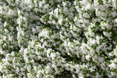 Teknogen peyzaj, kentsel. Yükselen güneş ışınlarının kutbunda enerji. Mesajını yüksek kurşun transferi için. Çelik elektrik direkleri