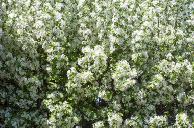 Teknogen peyzaj, kentsel. Yükselen güneş ışınlarının kutbunda enerji. Mesajını yüksek kurşun transferi için. Çelik elektrik direkleri