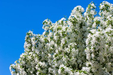 Teknogen peyzaj, kentsel. Yükselen güneş ışınlarının kutbunda enerji. Mesajını yüksek kurşun transferi için. Çelik elektrik direkleri