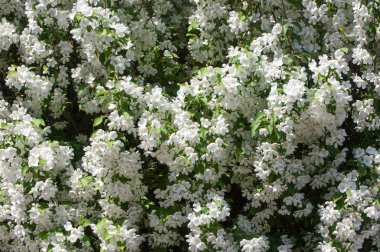 Teknogen peyzaj, kentsel. Yükselen güneş ışınlarının kutbunda enerji. Mesajını yüksek kurşun transferi için. Çelik elektrik direkleri