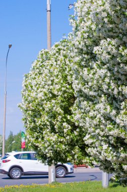 Teknogen peyzaj, kentsel. Yükselen güneş ışınlarının kutbunda enerji. Mesajını yüksek kurşun transferi için. Çelik elektrik direkleri