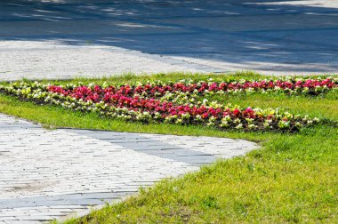 Yaz manzara, şehir çiçek çiçekler ile yatak. Yaz Şehir Parkı içinde çiçek açması renkli çiçek.