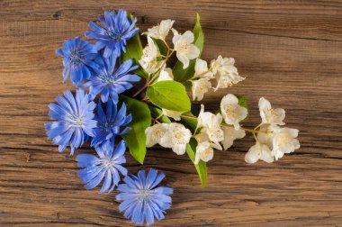 Kır çiçekleri. Stüdyo fotoğrafçılığı. Papatya, Yasemin, peygamber çiçeği, Doronicum, tahtaya